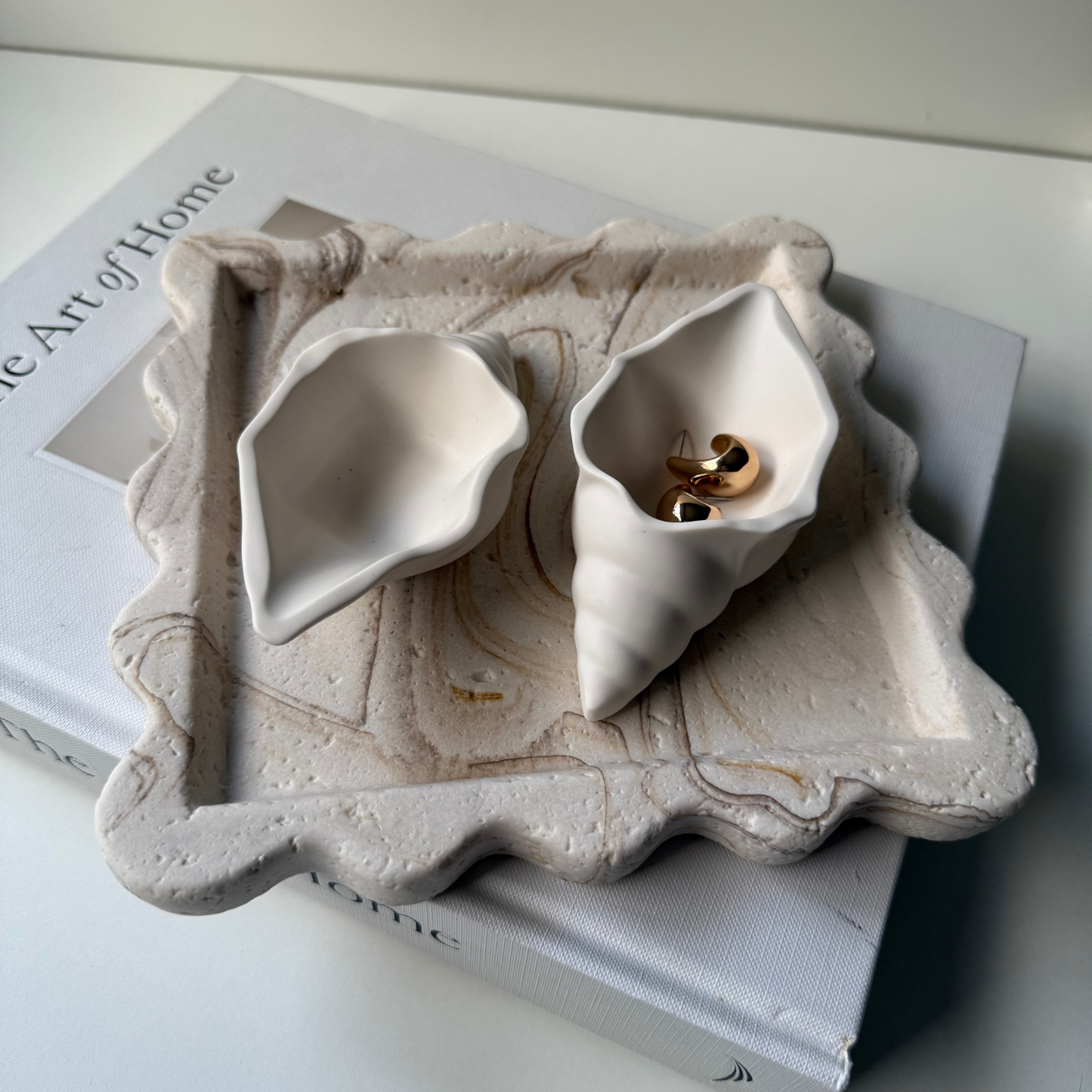 Conch - mini shell